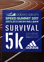 SPEED SUMMIT2017 フライヤー